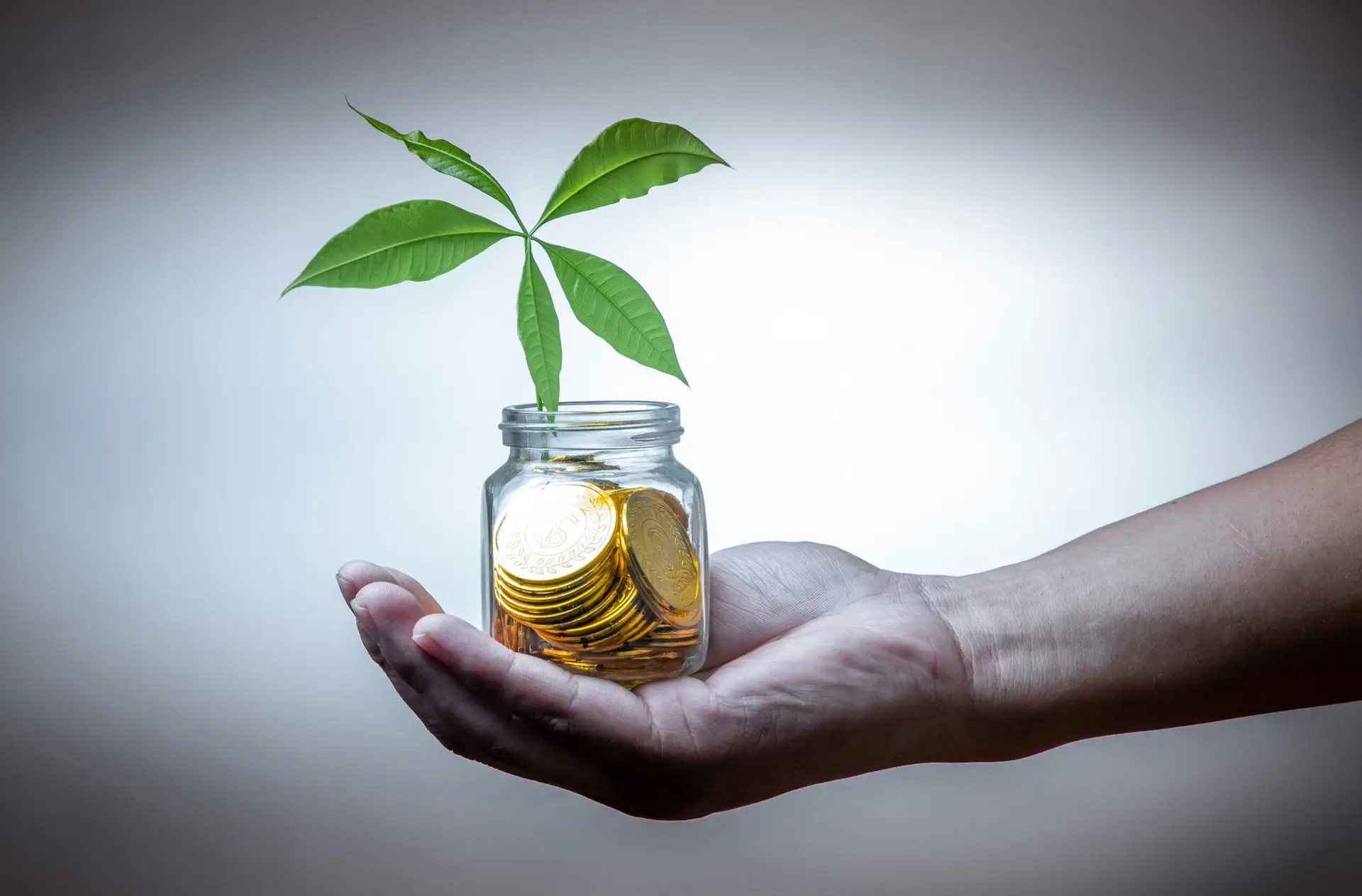 Get Involved: Invest in Dignity, Drive Change